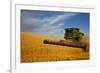 Combine Harvesting Wheat, Palouse Country, Washington, USA-Terry Eggers-Framed Photographic Print