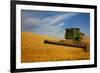 Combine Harvesting Wheat, Palouse Country, Washington, USA-Terry Eggers-Framed Photographic Print