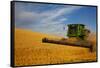 Combine Harvesting Wheat, Palouse Country, Washington, USA-Terry Eggers-Framed Stretched Canvas