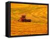 Combine Swathing Crop, Palouse, Washington, USA-Terry Eggers-Framed Stretched Canvas