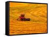 Combine Swathing Crop, Palouse, Washington, USA-Terry Eggers-Framed Stretched Canvas