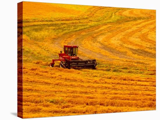 Combine Swathing Crop, Palouse, Washington, USA-Terry Eggers-Stretched Canvas