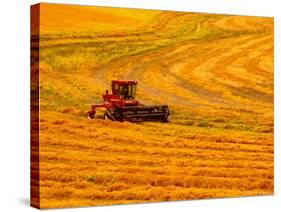 Combine Swathing Crop, Palouse, Washington, USA-Terry Eggers-Stretched Canvas