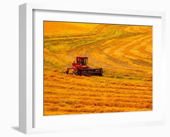 Combine Swathing Crop, Palouse, Washington, USA-Terry Eggers-Framed Photographic Print