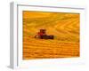 Combine Swathing Crop, Palouse, Washington, USA-Terry Eggers-Framed Photographic Print