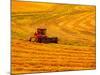 Combine Swathing Crop, Palouse, Washington, USA-Terry Eggers-Mounted Photographic Print