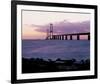 Combined Suspension Bridge-null-Framed Art Print