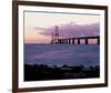 Combined Suspension Bridge-null-Framed Art Print