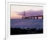 Combined Suspension Bridge-null-Framed Art Print