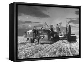 Combines and Crews Harvesting Wheat, Loading into Trucks to Transport to Storage-Joe Scherschel-Framed Stretched Canvas