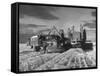 Combines and Crews Harvesting Wheat, Loading into Trucks to Transport to Storage-Joe Scherschel-Framed Stretched Canvas