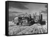 Combines and Crews Harvesting Wheat, Loading into Trucks to Transport to Storage-Joe Scherschel-Framed Stretched Canvas