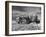 Combines and Crews Harvesting Wheat, Loading into Trucks to Transport to Storage-Joe Scherschel-Framed Premium Photographic Print