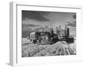 Combines and Crews Harvesting Wheat, Loading into Trucks to Transport to Storage-Joe Scherschel-Framed Premium Photographic Print