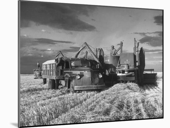 Combines and Crews Harvesting Wheat, Loading into Trucks to Transport to Storage-Joe Scherschel-Mounted Premium Photographic Print