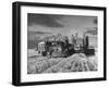 Combines and Crews Harvesting Wheat, Loading into Trucks to Transport to Storage-Joe Scherschel-Framed Photographic Print