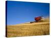 Combines Harvesting Crop, Palouse, Washington, USA-Terry Eggers-Stretched Canvas