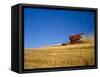 Combines Harvesting Crop, Palouse, Washington, USA-Terry Eggers-Framed Stretched Canvas