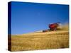 Combines Harvesting Crop, Palouse, Washington, USA-Terry Eggers-Stretched Canvas