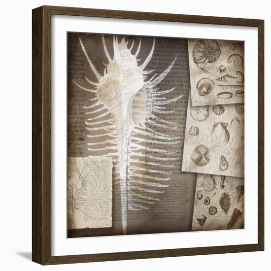 Combshell I-Kory Fluckiger-Framed Giclee Print