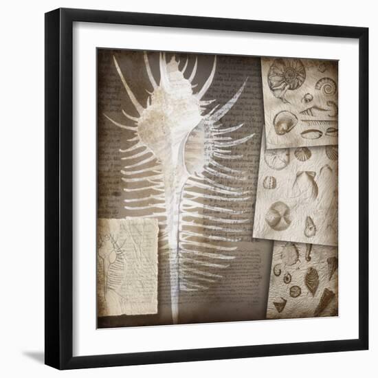 Combshell I-Kory Fluckiger-Framed Giclee Print