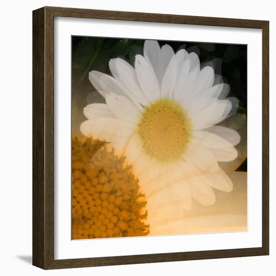 Come A Little Closer-Ruth Palmer-Framed Art Print