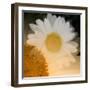 Come A Little Closer-Ruth Palmer-Framed Art Print