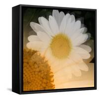 Come A Little Closer-Ruth Palmer-Framed Stretched Canvas