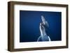 Come back to the Surface-Barathieu Gabriel-Framed Photographic Print