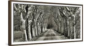 Come le Foglie-Fulvio Ferrua-Framed Art Print