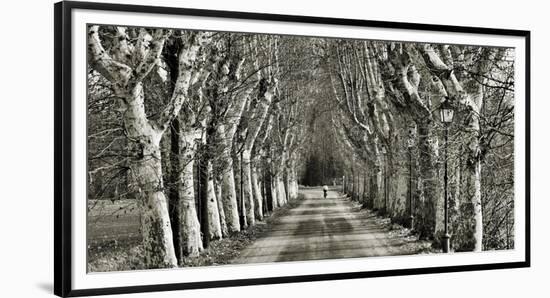 Come le Foglie-Fulvio Ferrua-Framed Art Print