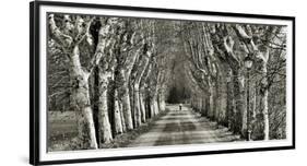 Come le Foglie-Fulvio Ferrua-Framed Art Print