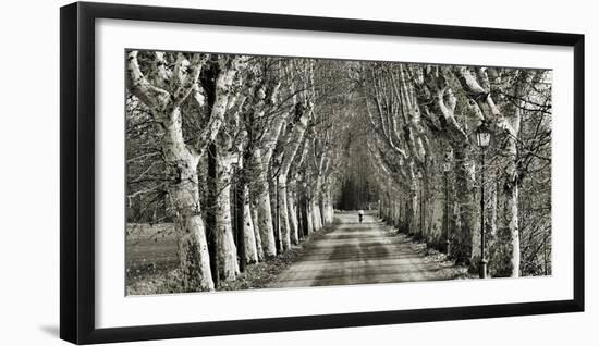 Come le Foglie-Fulvio Ferrua-Framed Art Print