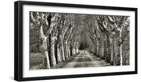 Come le Foglie-Fulvio Ferrua-Framed Art Print