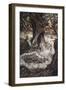 Come Now on a Roundel, Illustration from 'A Midsummer Night's Dream'-Arthur Rackham-Framed Giclee Print