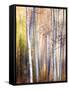 Come Walk with Me-Ursula Abresch-Framed Stretched Canvas