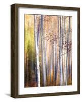 Come Walk with Me-Ursula Abresch-Framed Photographic Print