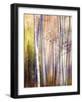 Come Walk with Me-Ursula Abresch-Framed Photographic Print