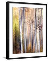 Come Walk with Me-Ursula Abresch-Framed Photographic Print