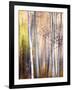 Come Walk with Me-Ursula Abresch-Framed Photographic Print