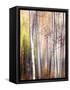 Come Walk with Me-Ursula Abresch-Framed Stretched Canvas