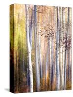 Come Walk with Me-Ursula Abresch-Stretched Canvas