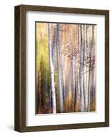 Come Walk with Me-Ursula Abresch-Framed Photographic Print