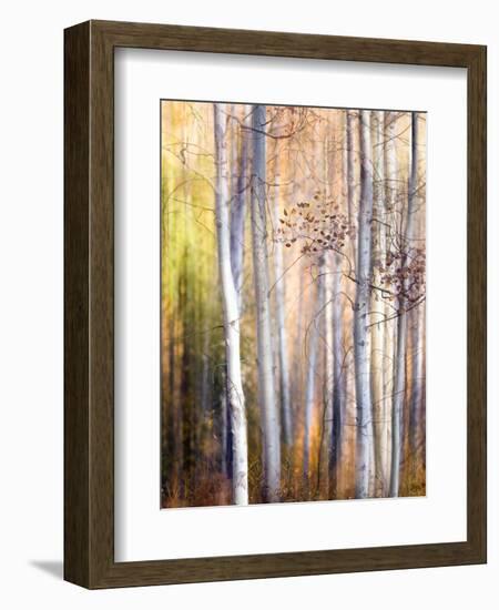 Come Walk with Me-Ursula Abresch-Framed Photographic Print