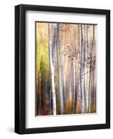 Come Walk with Me-Ursula Abresch-Framed Photographic Print