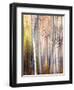 Come Walk with Me-Ursula Abresch-Framed Photographic Print