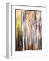 Come Walk with Me-Ursula Abresch-Framed Photographic Print