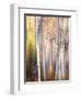 Come Walk with Me-Ursula Abresch-Framed Photographic Print