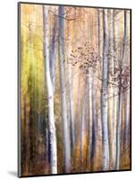 Come Walk with Me-Ursula Abresch-Mounted Photographic Print