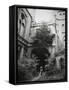 Come-Malgorzata Maj-Framed Stretched Canvas